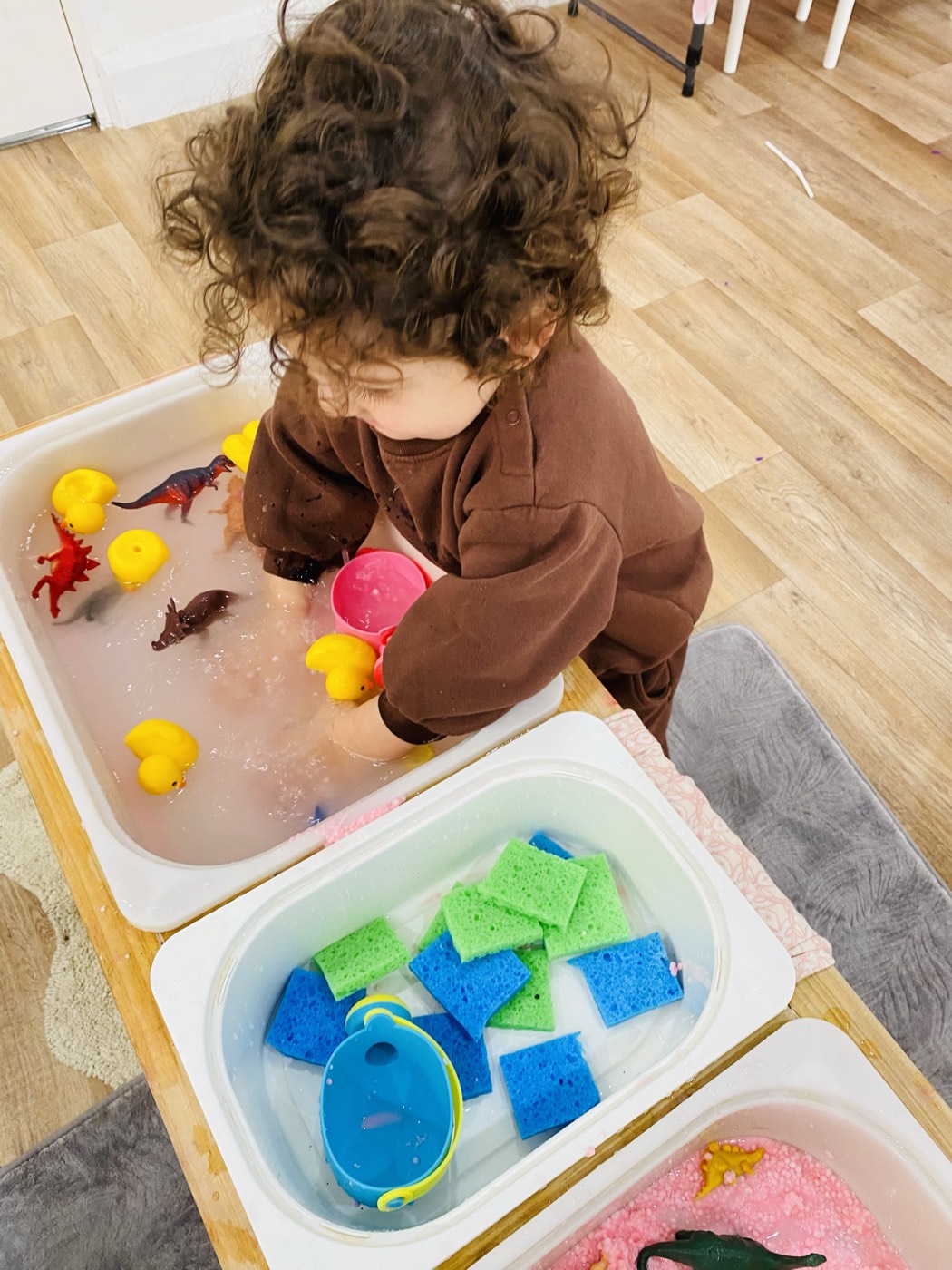 Toddler playing with ducks and dinosaurs in water